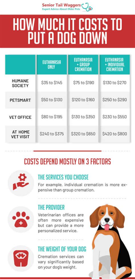 How much does putting a dog down cost. Things To Know About How much does putting a dog down cost. 